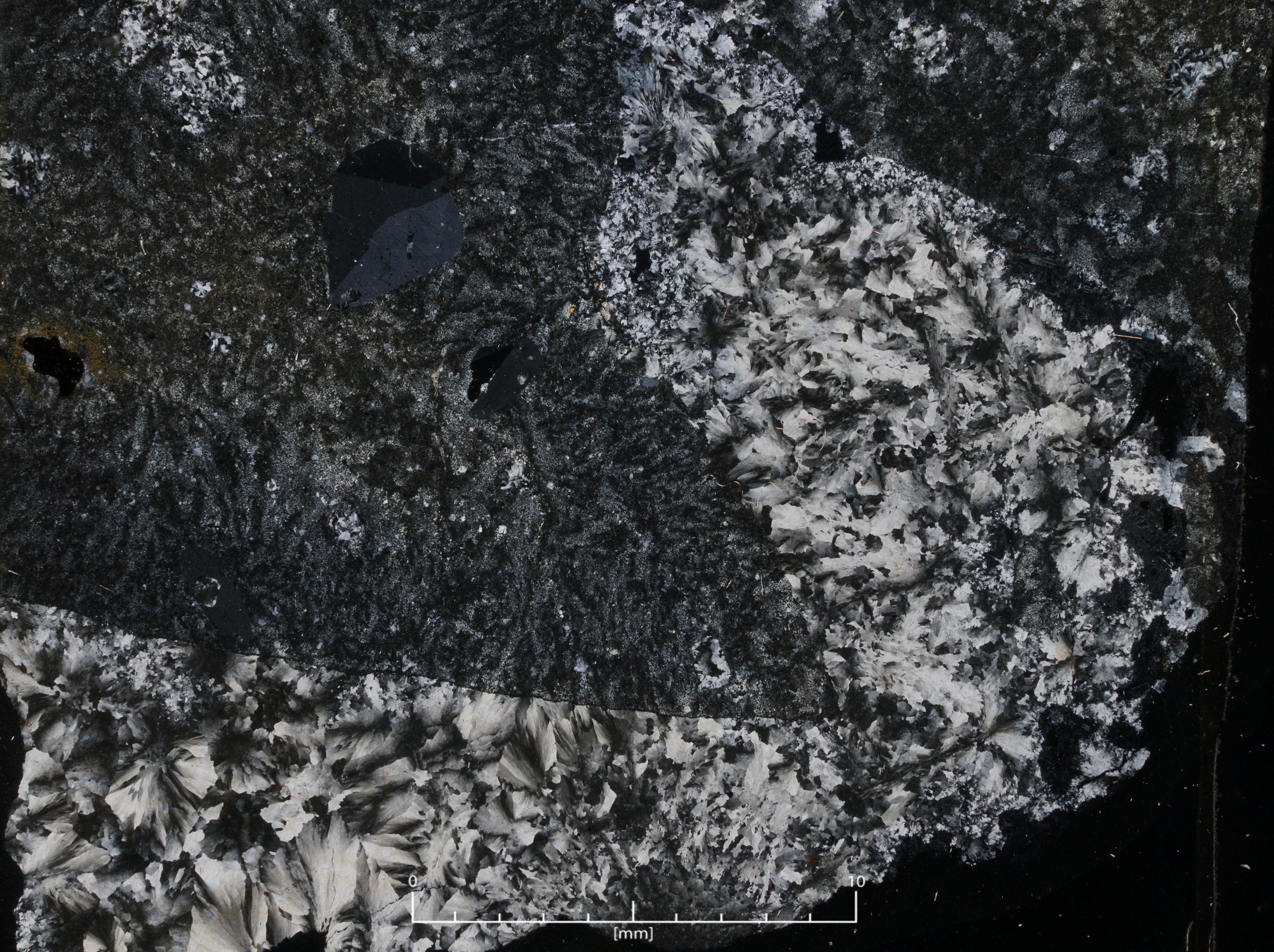 u82_xp_large.jpg